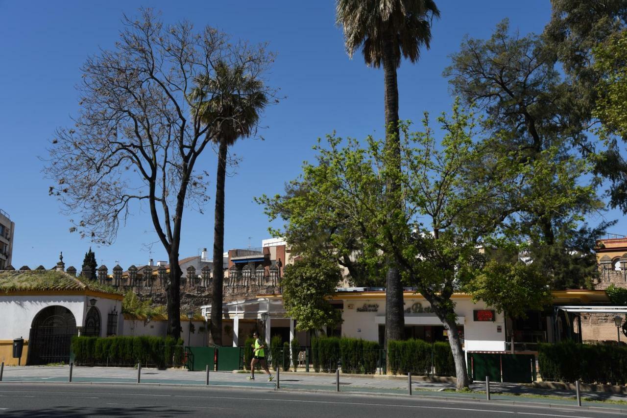 Modern Atico, Close Macarena/Sevilla Center Zewnętrze zdjęcie